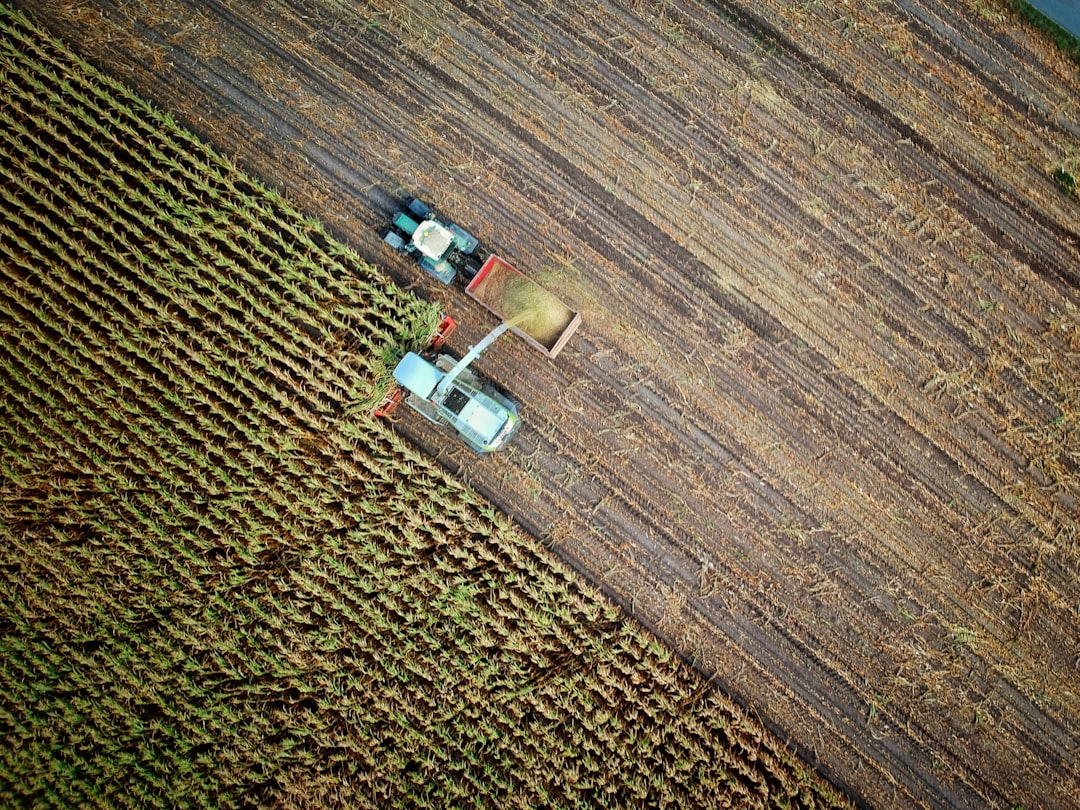 Donor Fatigue Collides with El Niño: The Food Crisis Accelerates