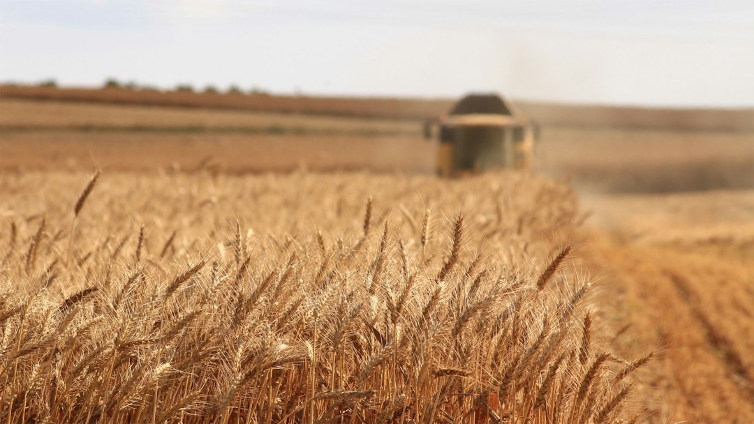 Inputs Under Strain: Food Security Held Hostage by Geopolitical Fractures