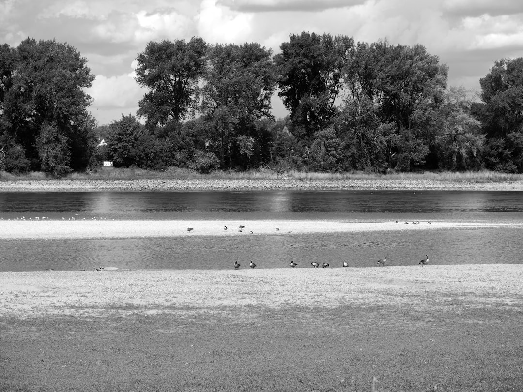Water Scarcity and Climate Collapse: Global Governance Fails 2030 Targets