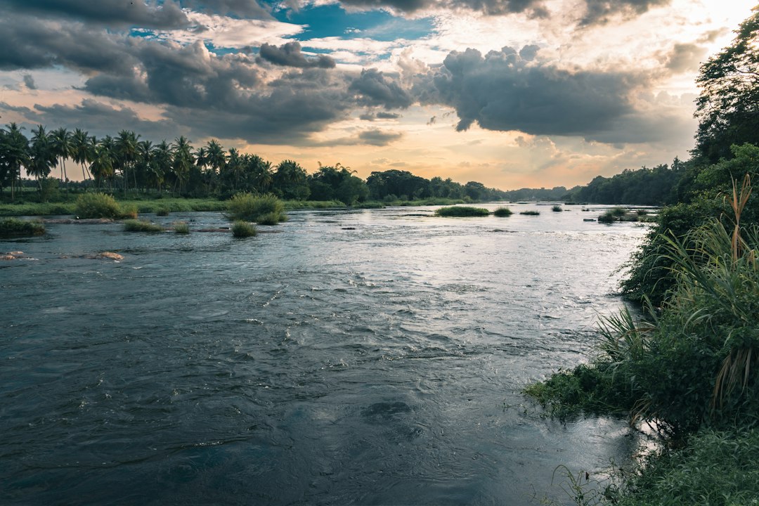 Water and Biodiversity: The North-South Asymmetry Becomes the Real Battleground